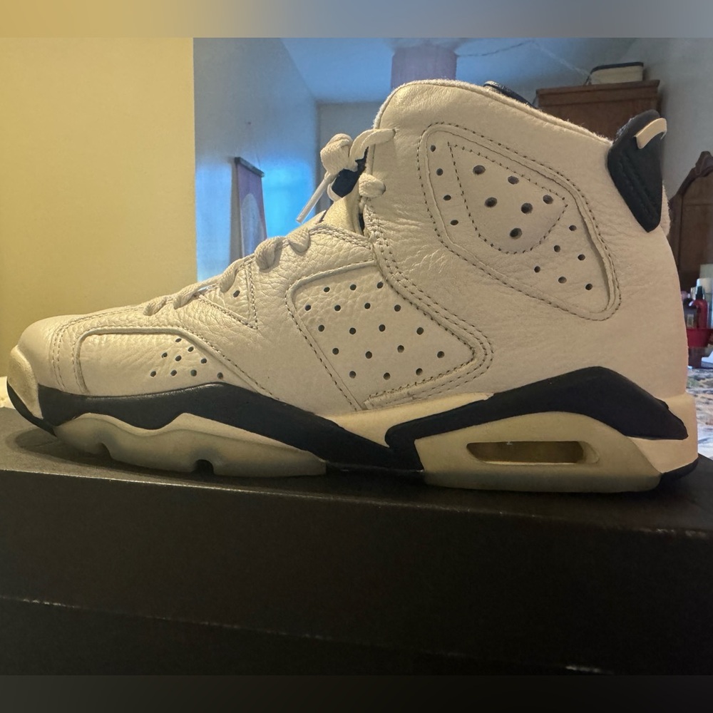 ~Air Jordan 6 Retro ~
